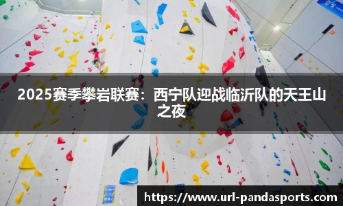 熊猫体育登录入口