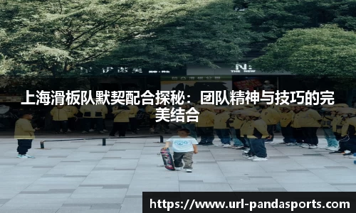 上海滑板队默契配合探秘：团队精神与技巧的完美结合